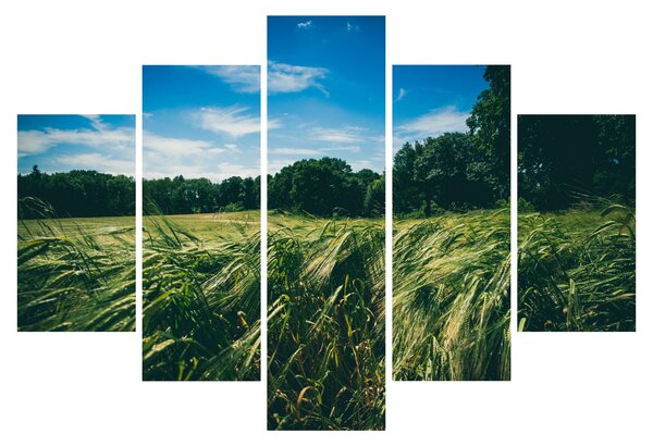 Slika livade i šume (150x105 cm)