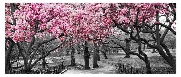 Slika drveća magnolije (120x50 cm)