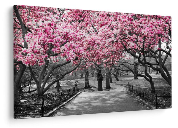 Slika drveća magnolije (90x60 cm)