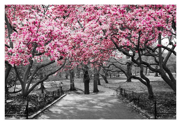 Slika drveća magnolije (90x60 cm)