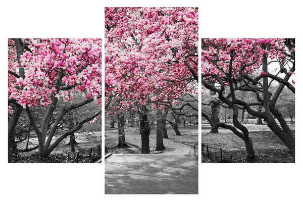 Slika drveća magnolije (90x60 cm)