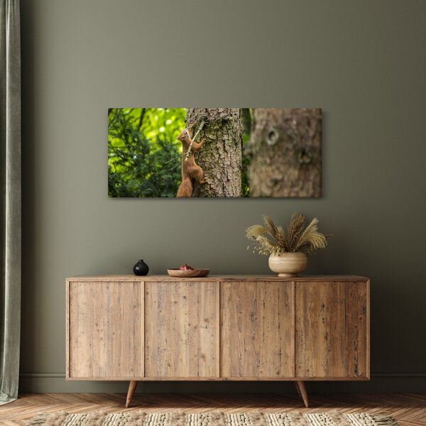 Slika - Vjeverica (120x50 cm)
