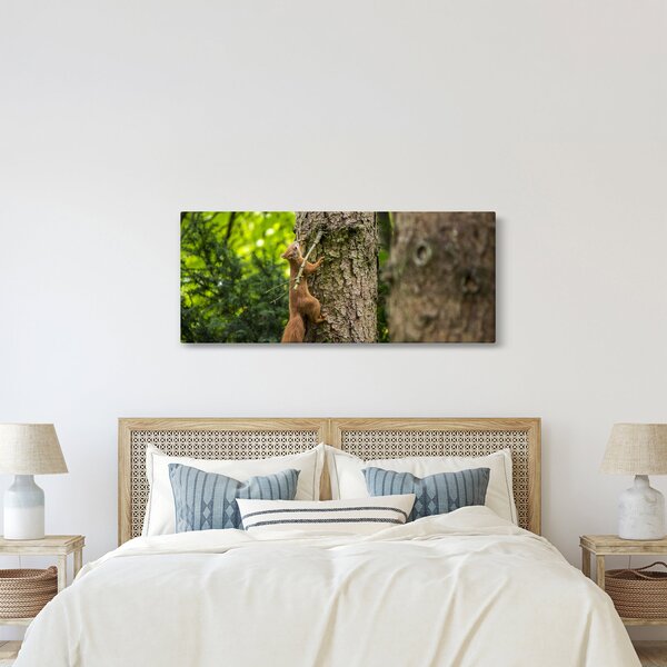 Slika - Vjeverica (120x50 cm)