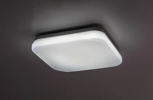 Lowar VANJSKA STROPNA SVJETILJKA LED 12W/BIJELA/IP44/750lm RA77134