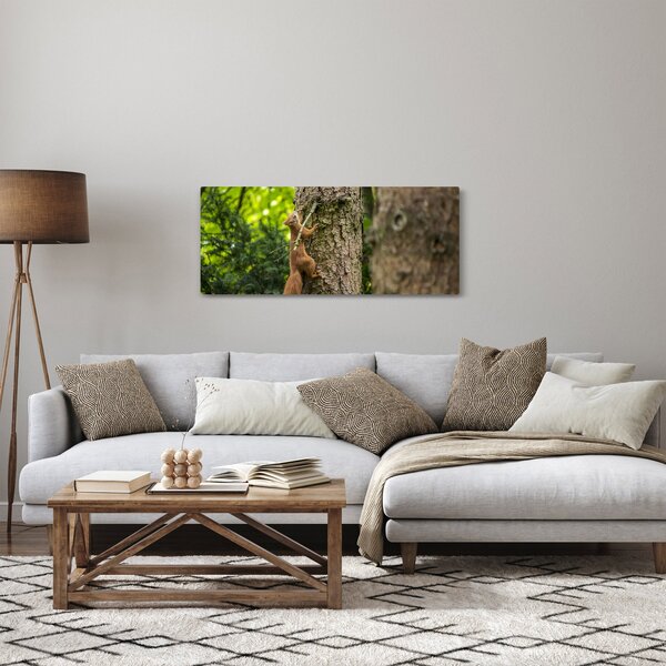 Slika - Vjeverica (120x50 cm)