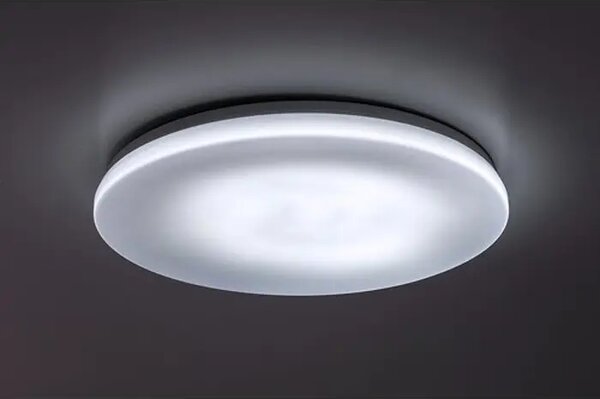 Lowar VANJSKA STROPNA SVJETILJKA LED 36W/BIJELA/IP44/2300lm RA77135