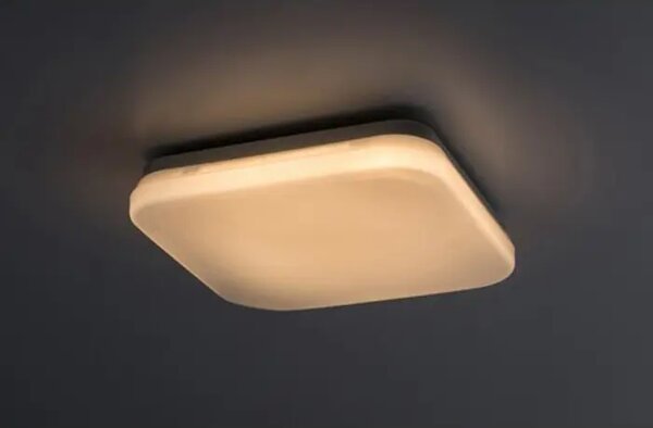 Lowar VANJSKA STROPNA SVJETILJKA LED 12W/BIJELA/IP44/750lm RA77134