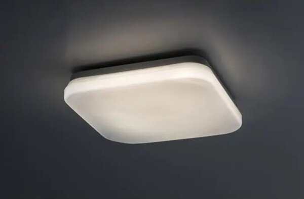 Lowar VANJSKA STROPNA SVJETILJKA LED 12W/BIJELA/IP44/750lm RA77134