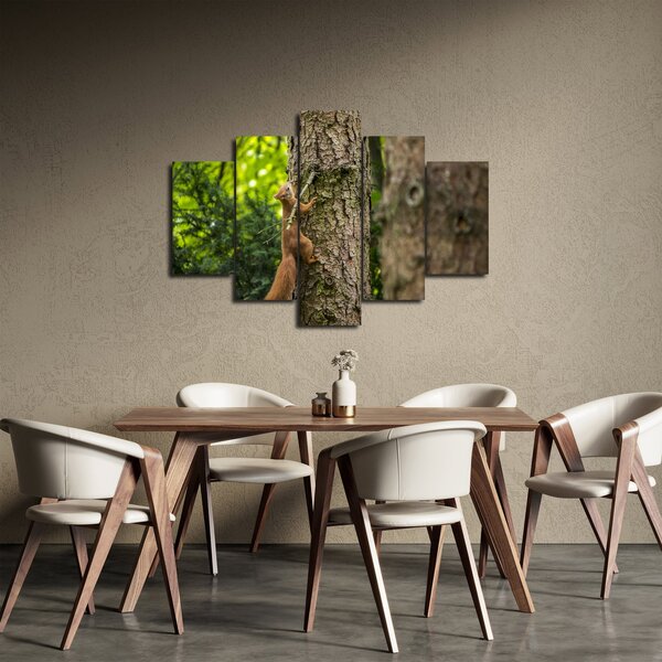 Slika - Vjeverica (150x105 cm)