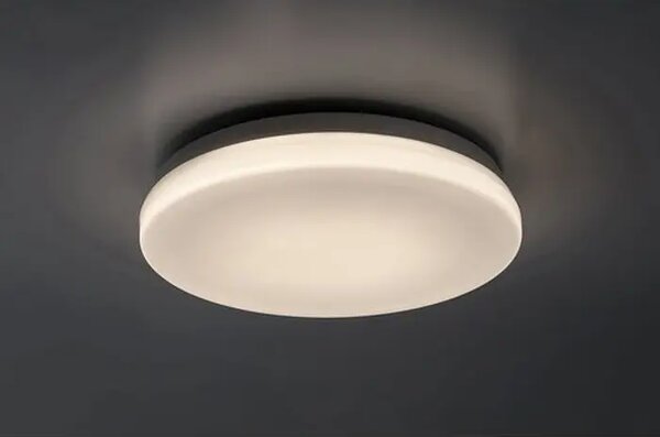 Lowar VANJSKA STROPNA SVJETILJKA LED 12W/BIJELA/IP44/750lm RA77133