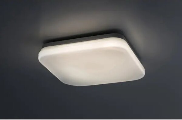 Lowar VANJSKA STROPNA SVJETILJKA LED 18W/BIJELA/IP44/1150lm RA77138