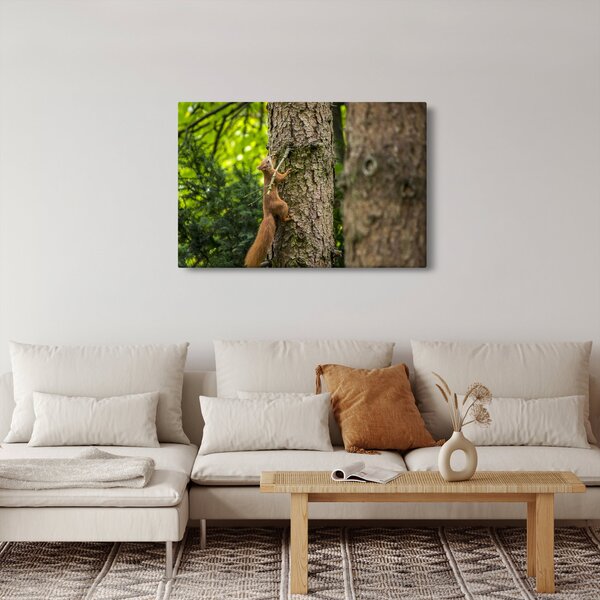 Slika - Vjeverica (90x60 cm)