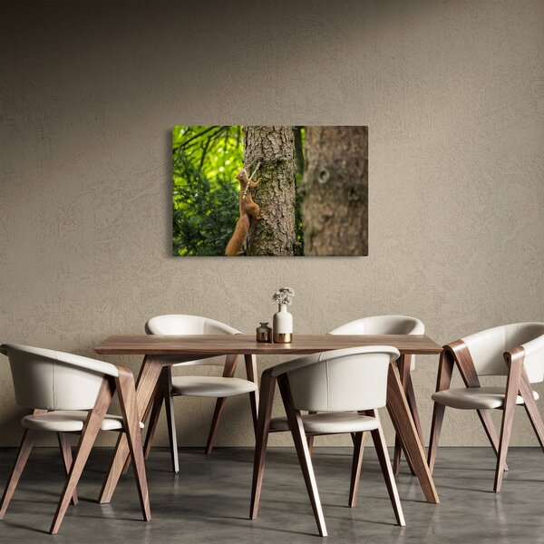 Slika - Vjeverica (90x60 cm)