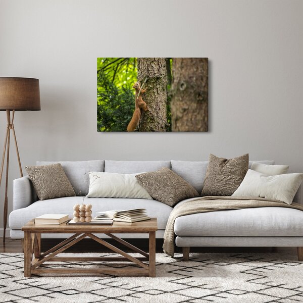 Slika - Vjeverica (90x60 cm)