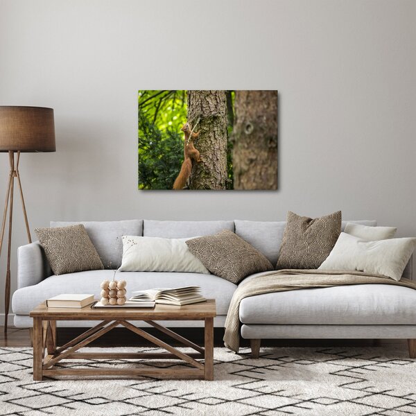 Slika - Vjeverica (70x50 cm)