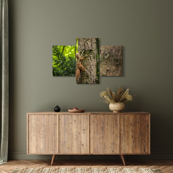 Slika - Vjeverica (90x60 cm)