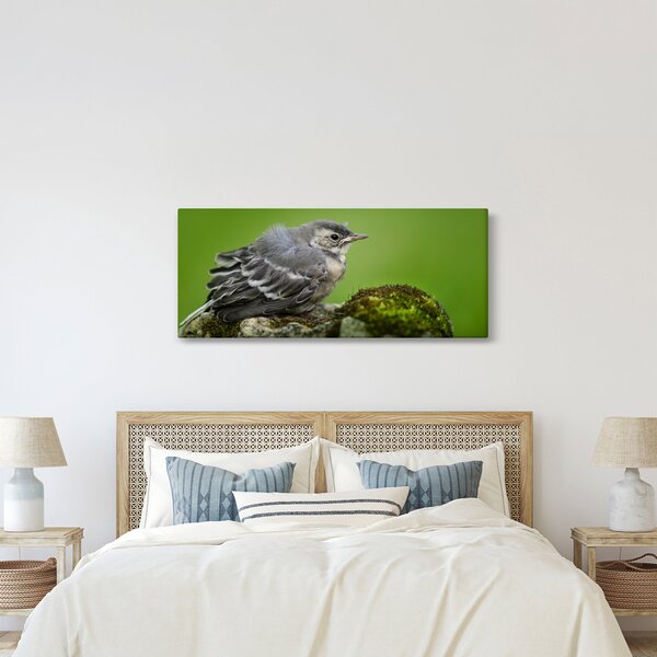 Slika - Ptica (120x50 cm)
