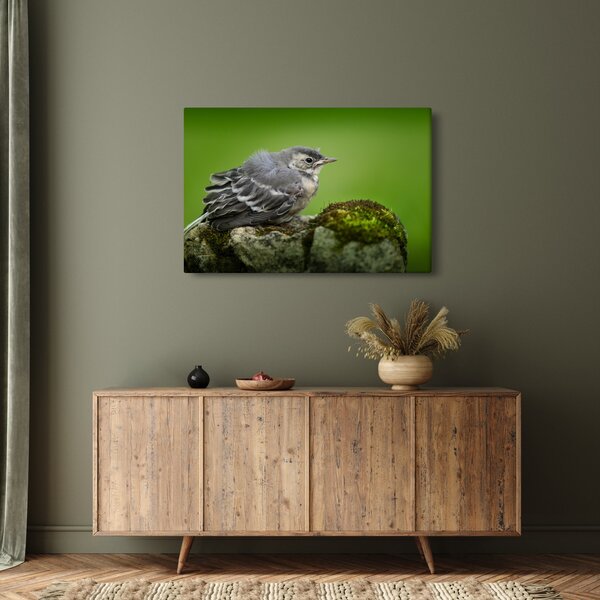 Slika - Ptica (90x60 cm)