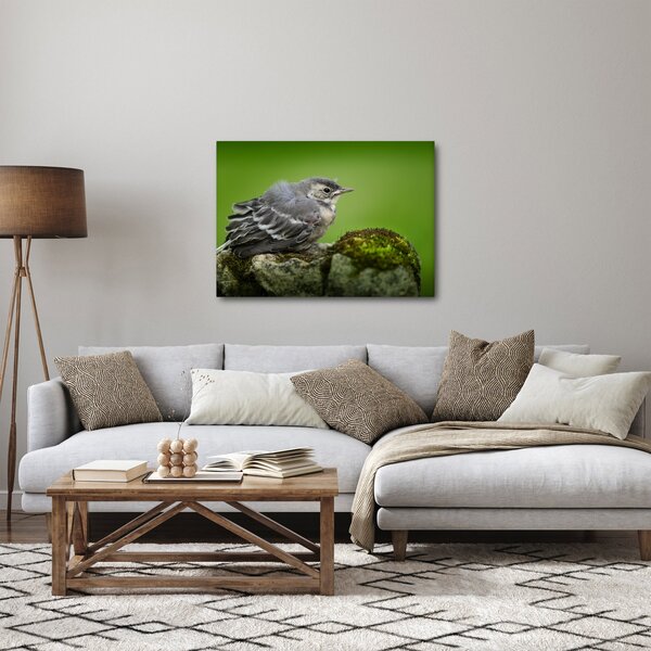 Slika - Ptica (70x50 cm)