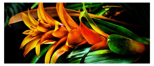 Slika narančastog buketa (120x50 cm)