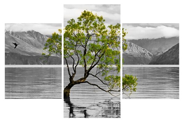 Slika stabla usred jezera (90x60 cm)