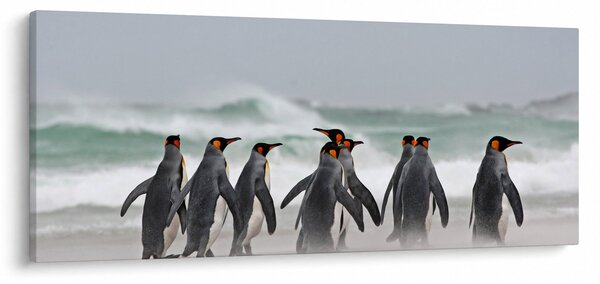 Slika pingvina uz ocean (120x50 cm)