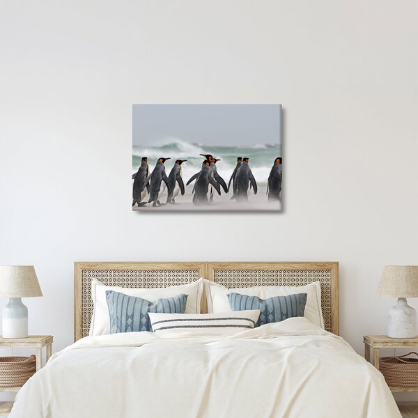 Slika pingvina uz ocean (70x50 cm)