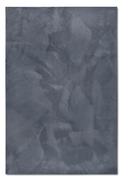 Antracitno sivi tepih 200x290 cm Leon – Villeroy&Boch
