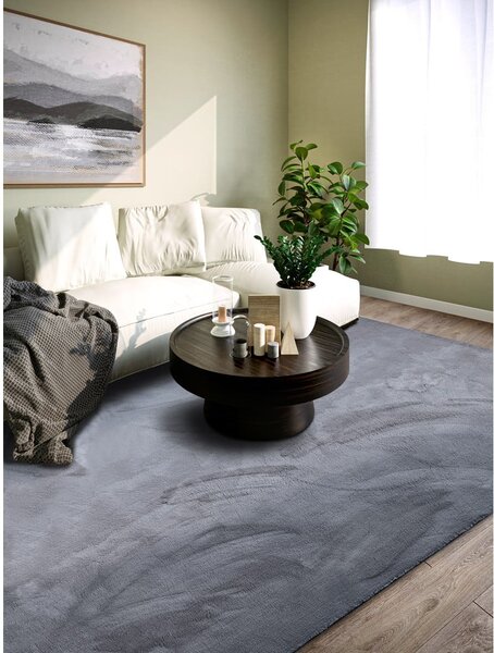 Antracitno sivi tepih 200x290 cm Leon – Villeroy&Boch