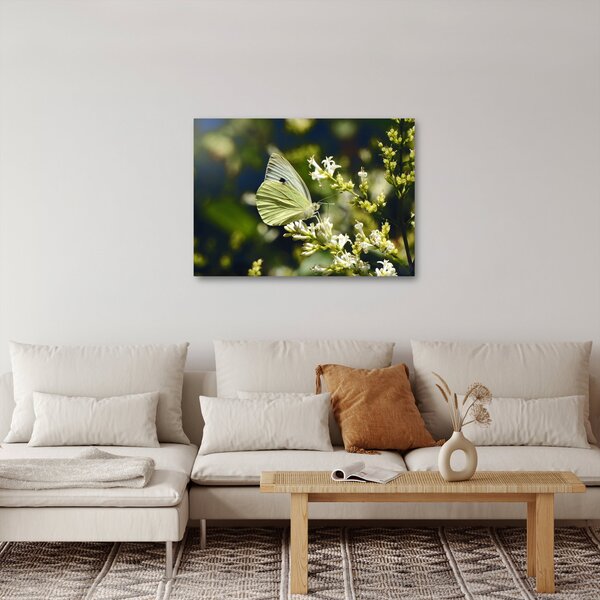 Slika leptira (70x50 cm)