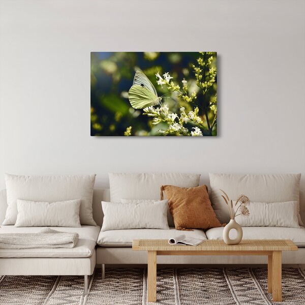 Slika leptira (90x60 cm)