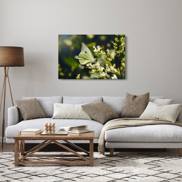 Slika leptira (90x60 cm)