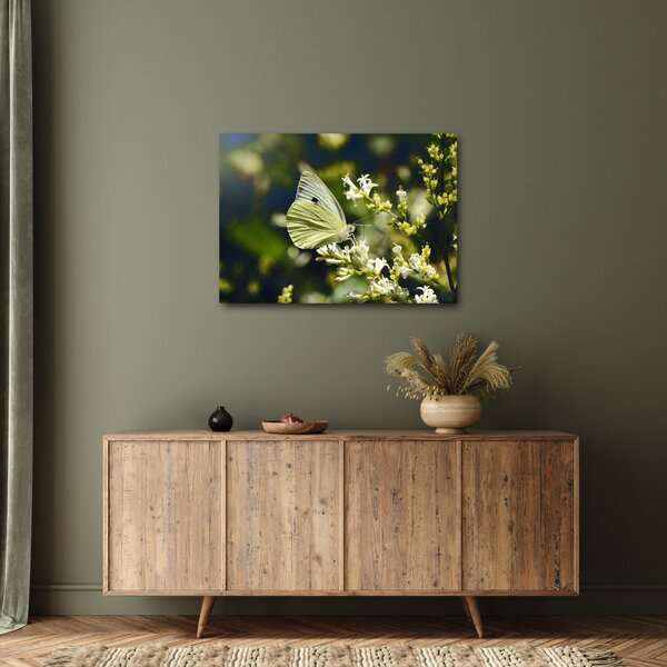 Slika leptira (70x50 cm)
