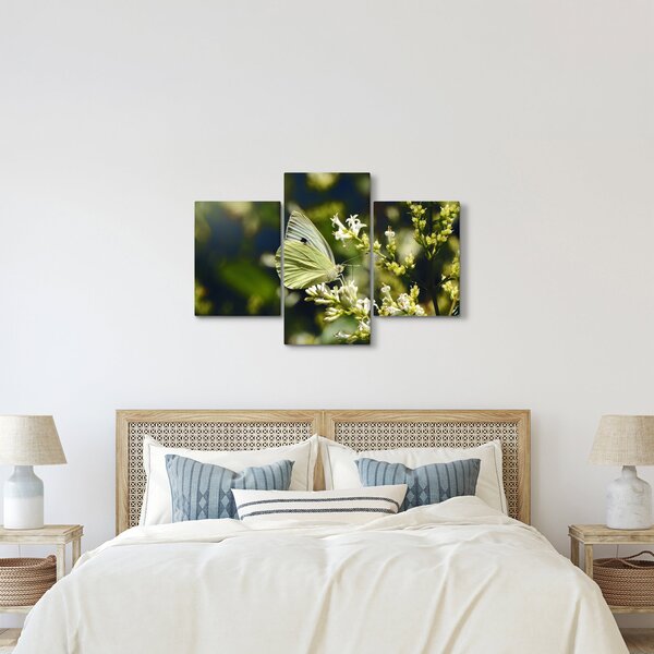 Slika leptira (90x60 cm)