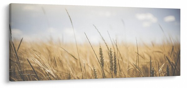 Slika žita (120x50 cm)