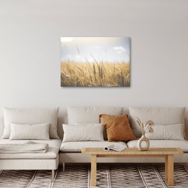 Slika žita (70x50 cm)