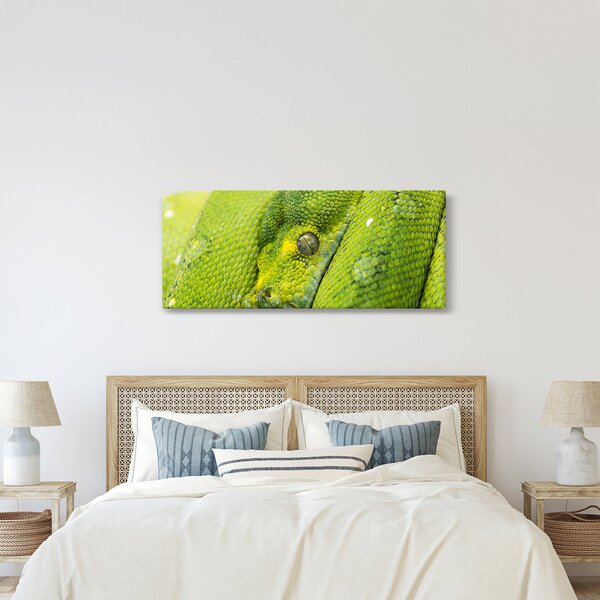 Slika zmije (120x50 cm)