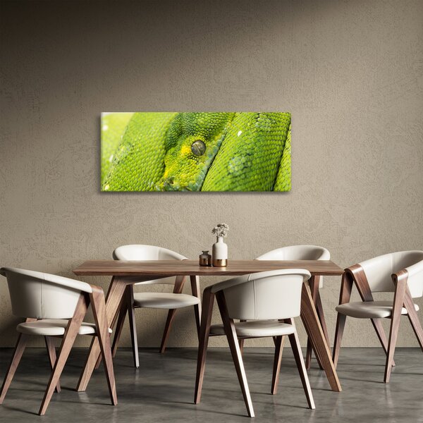 Slika zmije (120x50 cm)