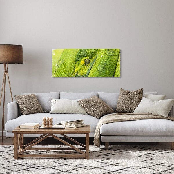 Slika zmije (120x50 cm)