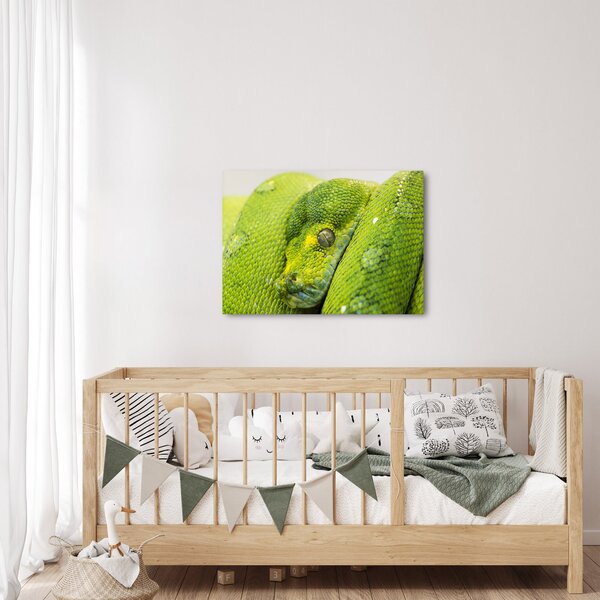 Slika zmije (70x50 cm)