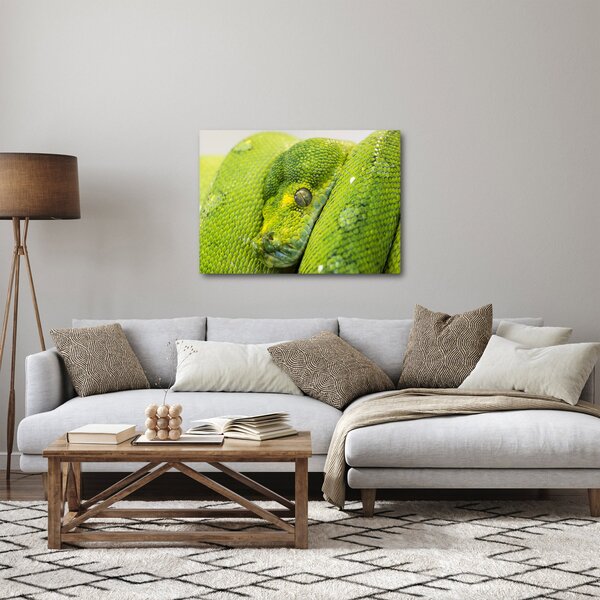 Slika zmije (70x50 cm)