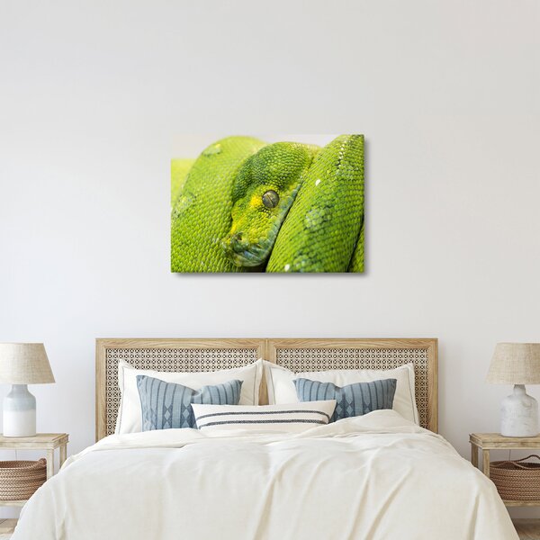 Slika zmije (70x50 cm)
