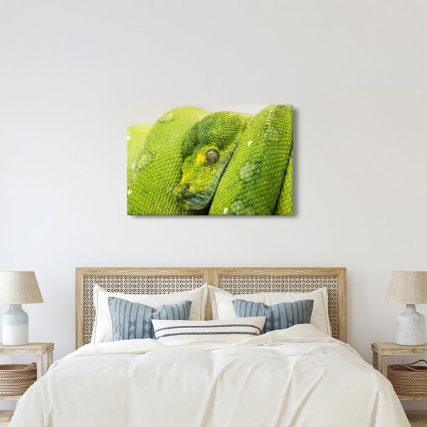 Slika zmije (90x60 cm)
