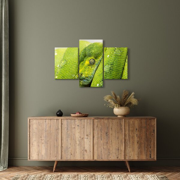 Slika zmije (90x60 cm)
