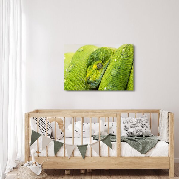 Slika zmije (90x60 cm)