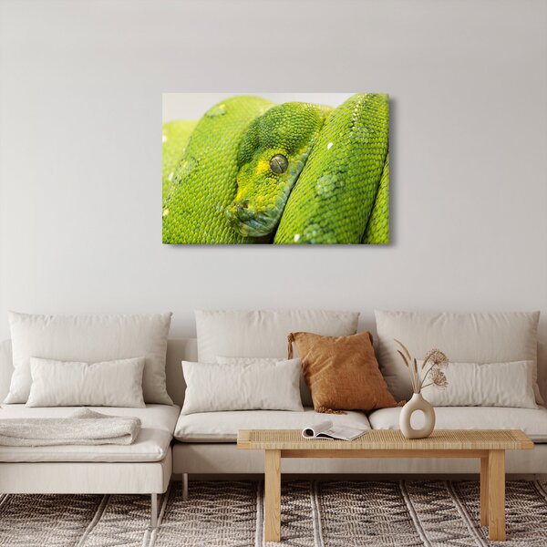 Slika zmije (90x60 cm)