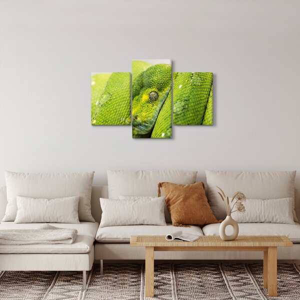 Slika zmije (90x60 cm)