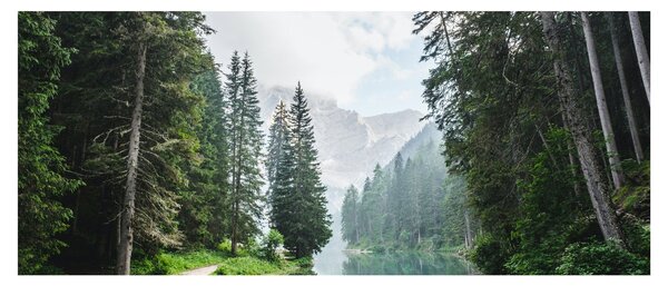 Slika šumskog jezera (120x50 cm)