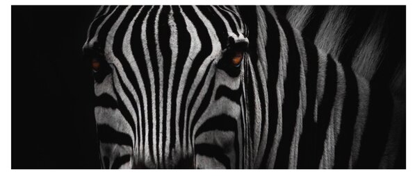 Slika zebre (120x50 cm)