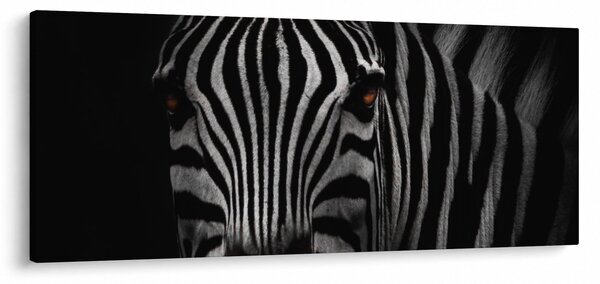 Slika zebre (120x50 cm)
